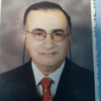 دكتور مصطفي حلمي النجار