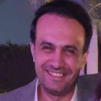 دكتور مينا شوقى