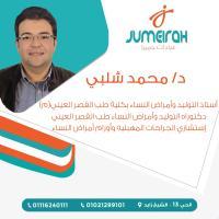 دكتور محمد شلبي