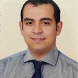 دكتور صلاح الدين ماجد الحفناوي