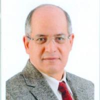 دكتور عبد الفتاح الطير