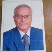 دكتور محمود سامي