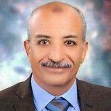 دكتور مجدي عبد الهادي