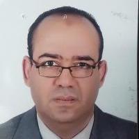 دكتور محمد محروس التلاوي