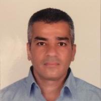 دكتور احمد البردى