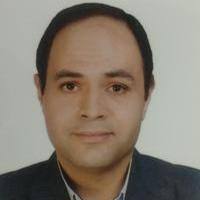 دكتور محمد الموافي