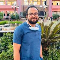 دكتور مصطفي احمد مرداش