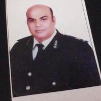 دكتور مدحت محمد هاشم